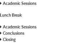  Academic Sessions Lunch Break  Academic Sessions  Conclusions  Closing