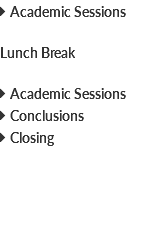  Academic Sessions Lunch Break  Academic Sessions  Conclusions  Closing